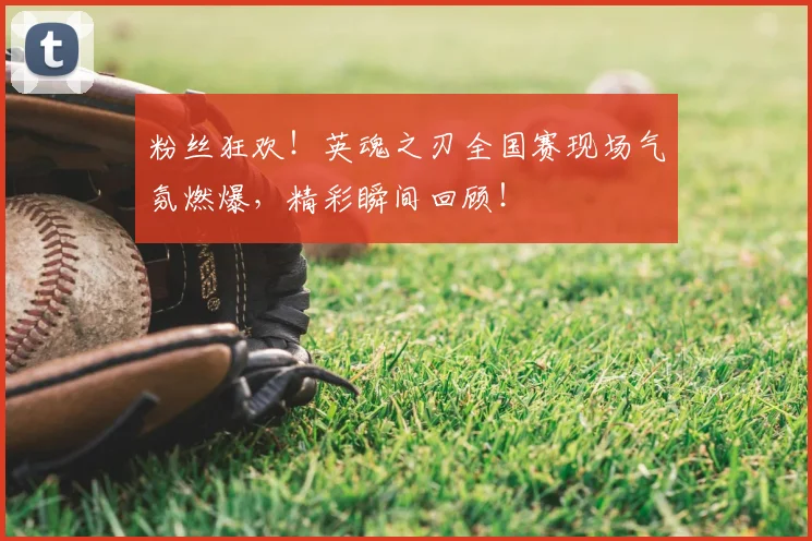 粉丝狂欢！英魂之刃全国赛现场气氛燃爆，精彩瞬间回顾！