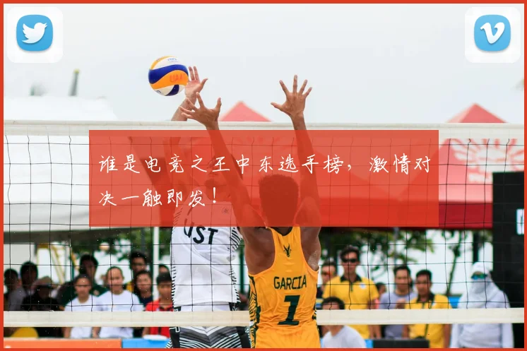 谁是电竞之王中东选手榜，激情对决一触即发！