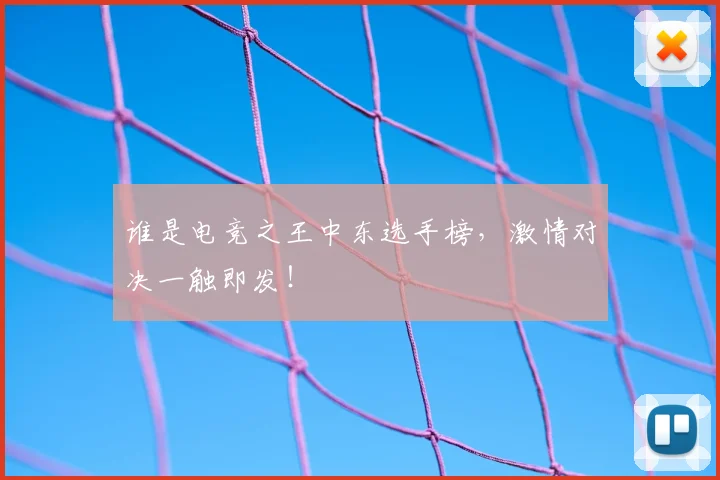 谁是电竞之王中东选手榜，激情对决一触即发！
