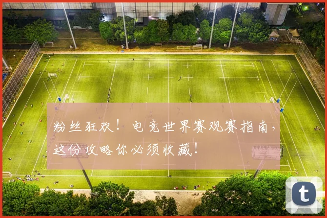 粉丝狂欢！电竞世界赛观赛指南，这份攻略你必须收藏！