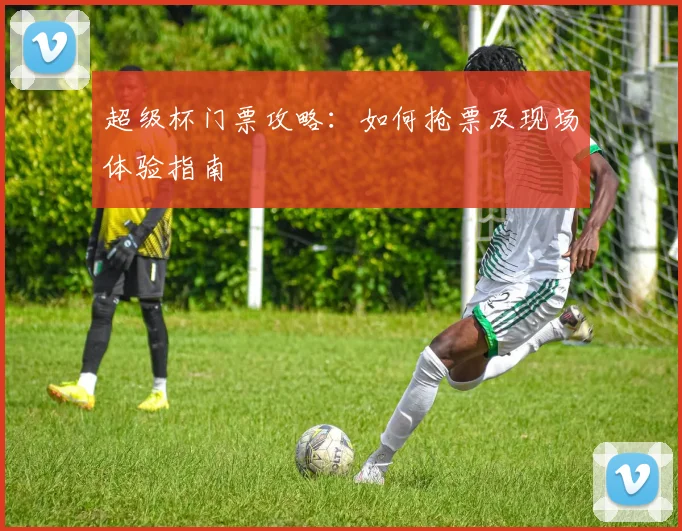 超级杯门票攻略：如何抢票及现场体验指南