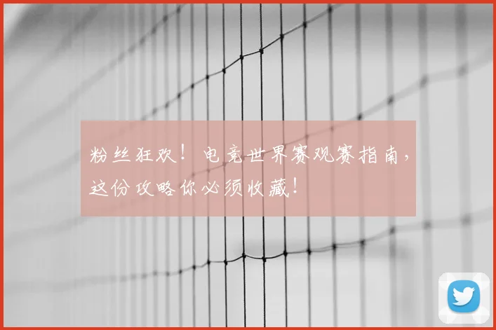 粉丝狂欢！电竞世界赛观赛指南，这份攻略你必须收藏！
