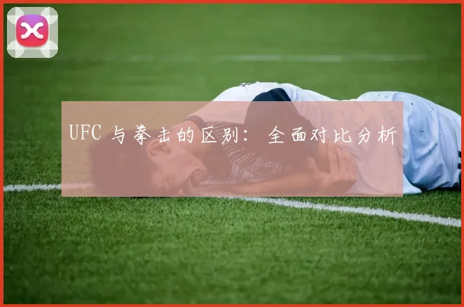 UFC 与拳击的区别:全面对比分析